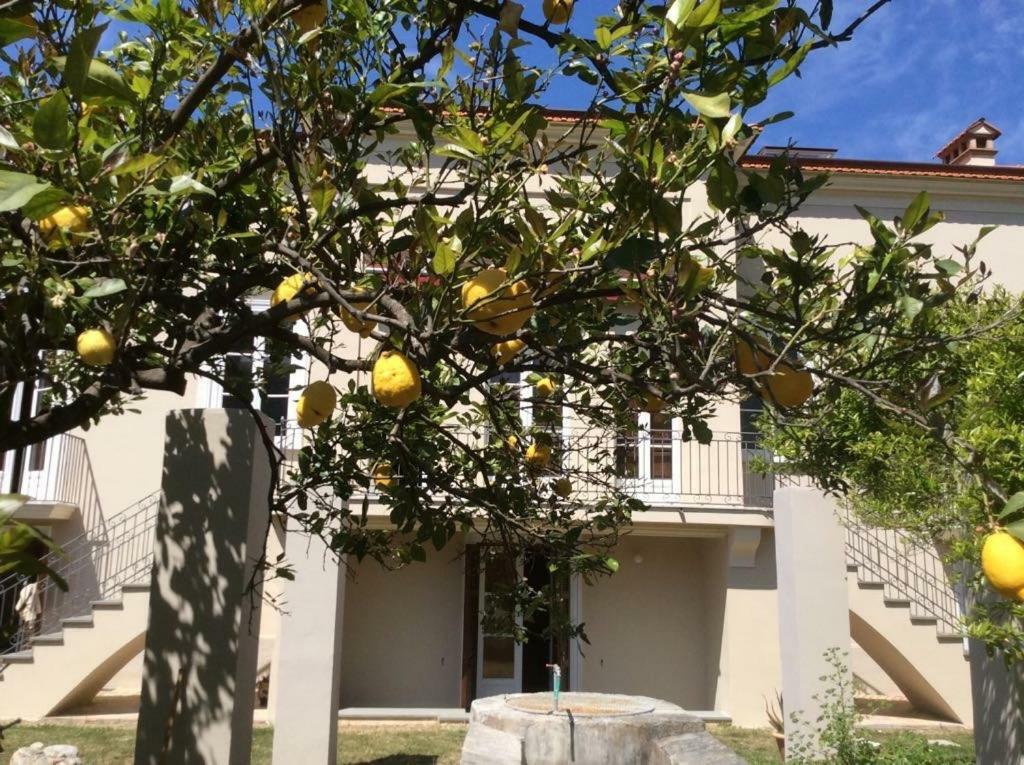Villa Caterina ซาปรี ภายนอก รูปภาพ